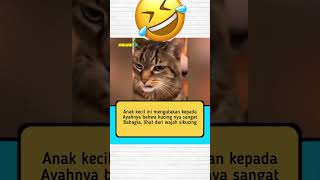 Antara Sedih sama ngakak Nasib meongnya #fypシ゚viral #kucing