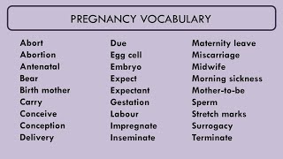 Pregnancy Vocabulary