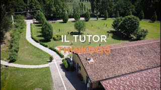 Il Tutor: figura importantissima fa da ponte e anello di congiunzione tra gli allievi e la scuola.