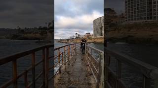 Caminando por La Jolla Cove  #sandiego #california