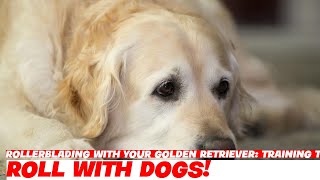 Rollerblading with Your Golden Retriever: Training Tips