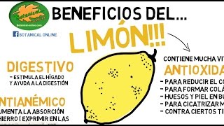 PROPIEDADES MEDICINALES DEL LIMÓN