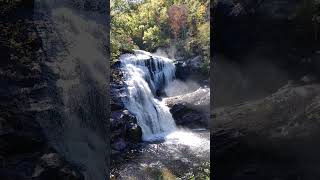 A Footage of a Waterfalls | True Nature |