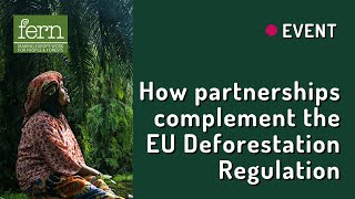 How partnerships complement the EU Deforestation Regulation