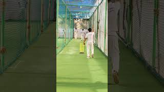 Out or Not Out | You Decide | #shorts #cricket #outornotout #cricketshorts #youtubeshorts