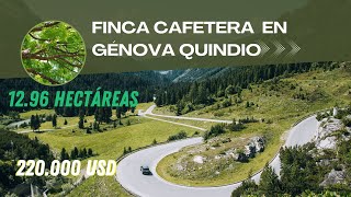 FINCA CAFETERA EN GÉNOVA QUINDIO