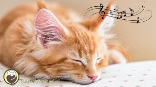 Peaceful Harp Music for Cats - Relaxing Music, Sleep Music, Calming Water Sounds