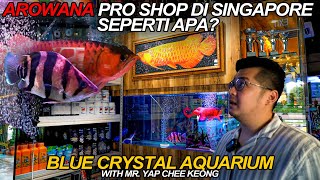 Arowana PRO Shop Singapore Seperti Apa?, Blue Crystal Aquarium!