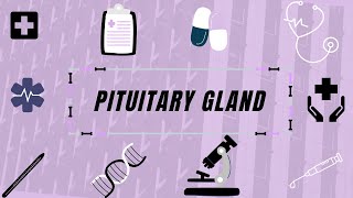 Pituitary Gland: Normal structure, Histologic features, Function