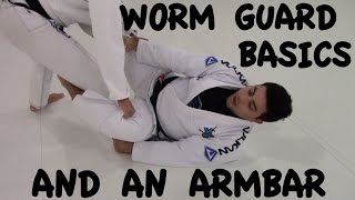 LAPEL GUARD: Basics and an Armbar with Professor Leo D’avila