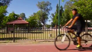 Día mundial de la bicicleta.