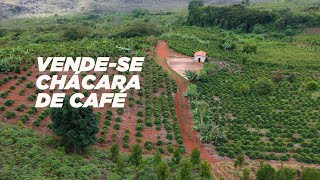 VENDE-SE CHÁCARA DE CAFÉ EM MATO GROSSO - RIO DE CONTAS-BA, CHAPADA DIAMANTINA