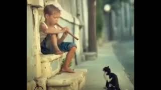 BABY IS ENJOYING BANSURI | IN FRONT OF CAT