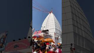 Baba Baidyanath mandir, deoghar | chal re kanwariya Shiv ke dham #shortsfeed #viral #deoghar #shorts