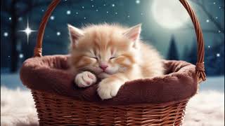 'Ad-free' lullaby with cute creamy orange kitten