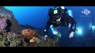 WRECK DIVING | URSUS | CROATIA (ISLAND VIS)