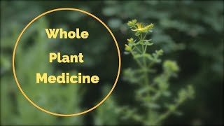 Whole Plant Medicine