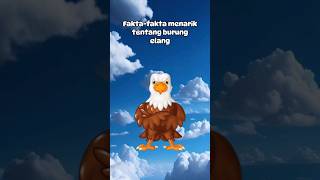 "FAKTA-FAKTA MENARIK TENTANG BURUNG ELANG" #burungelang #animals #animallover #animalshorts