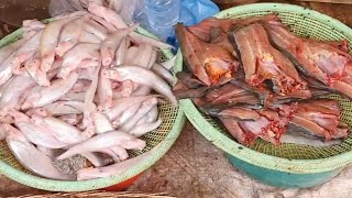 Fresh fish are available at this market in the morning, Buying fresh fish in my country