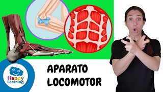 EL APARATO LOCOMOTOR PARA NIÑOS | HAPPY LEARNING  💪🏽 🦴 🧠 🏃🏼‍♂️