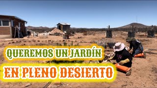 50~JARDÍN EN ZONA DESERTICA⁉️ (nuevo proyecto)ARREGLOS en la CASA 🌵