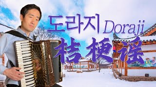 Doraji | 도라지 | Korean Music | Accordion Cover