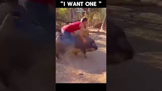 Need A Ride #funny #lol #funnyvideo #trending #shorts #viral #youtubeshorts #trendingshorts #comedy