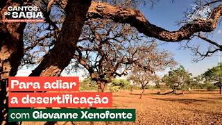 Para adiar a desertificação | Cantos do Sabiá