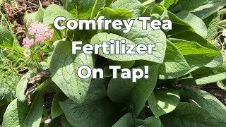 Comfrey Fertilizer Whenever You Want It!