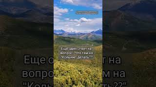 Еще один ответ на вопрос: "Да что там на Колыме делать?"