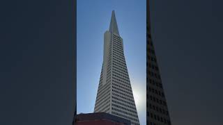 Transamerica Building in San Francisco. Used to be the tallest building before Salesforce Building