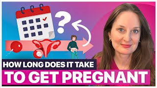 How Long Does It REALLY Take to Get Pregnant?