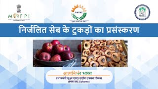 POWER POINT PRESENTATION ON PROCESSING OF DEHYDRATED APPLE SLICES- HINDI