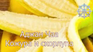 Аджан Чаа "Кожура и скорлупа"