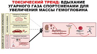 ТОКСИЧЕСКИЙ ТРЕНД: ВДЫХАНИЕ УГАРНОГО ГАЗА СПОРТСМЕНАМИ ДЛЯ УВЕЛИЧЕНИЯ МАССЫ ГЕМОГЛОБИНА