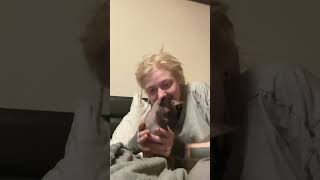 Pranking my cat #shorts #tiktok #catsoftiktok