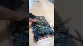 REZEKI PEMANCING UDANG GALAH SAAT BERPUASA .. ABANG DENGAS