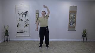 Qigong for the Spring Season and the Liver