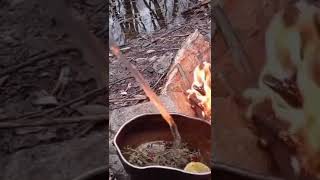 bushcraft tea forest camp