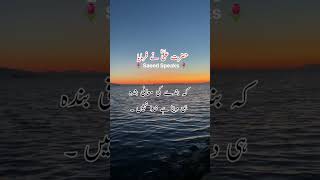 Hazrat Ali Quotes Kisi Ka Dil Torne Ki Mafi #shorts #youtubeshorts #viral #short