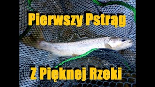 Pierwszy pstrąg z pięknej rzeki! Trochę się zgubiłem...