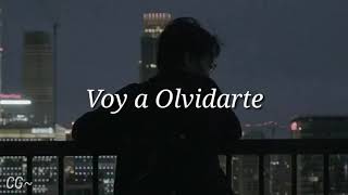 Voy a olvidarte...