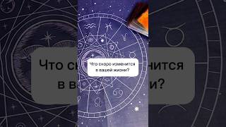 Что скоро изменится? #общийрасклад #расклад #таро #таропрогноз #тарорасклад #чтождетменя