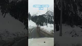 Sonmarg kashmir tour #shorts #youtubeshorts #viralvideo