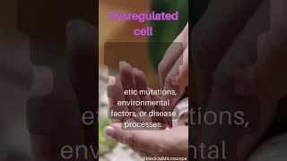 Dysregulated cell │ Selected medical terminology │ #medicalterminology #dysregulatedcell #short