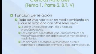 Tecnología N1 Ev3 Tecnología T1 (II) B1 - Matemáticas T2 B4 - Ciencias T1 (II) B5