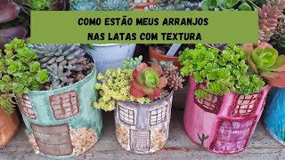 SUCULENTAS/ ARRANJOS NAS LATAS COM TEXTURA ( ATUALIZAÇÃO)