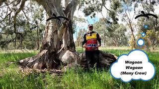 Bundyi Cultural Tours.