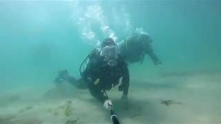 Open Water Scuba Diving - Dive Newquay (The Gazzar)