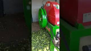 chaff cutter machine